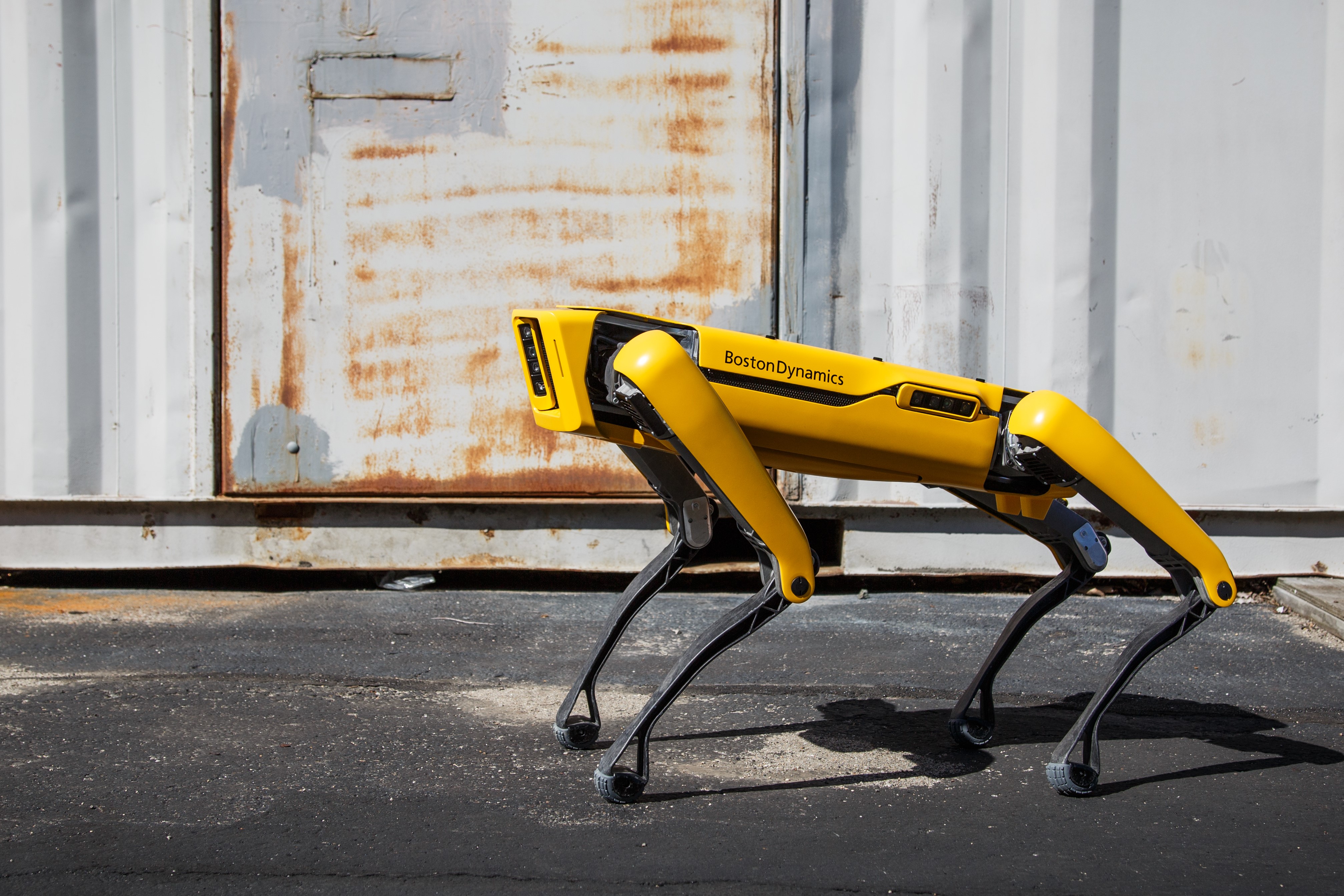Boston Dynamics Spot / Boston Dynamics Will Finally Sell A Robot But